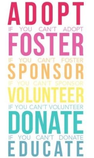 428463_367047800073422_1635207583_n